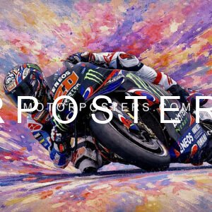 fabio quartararo 20 yamaha